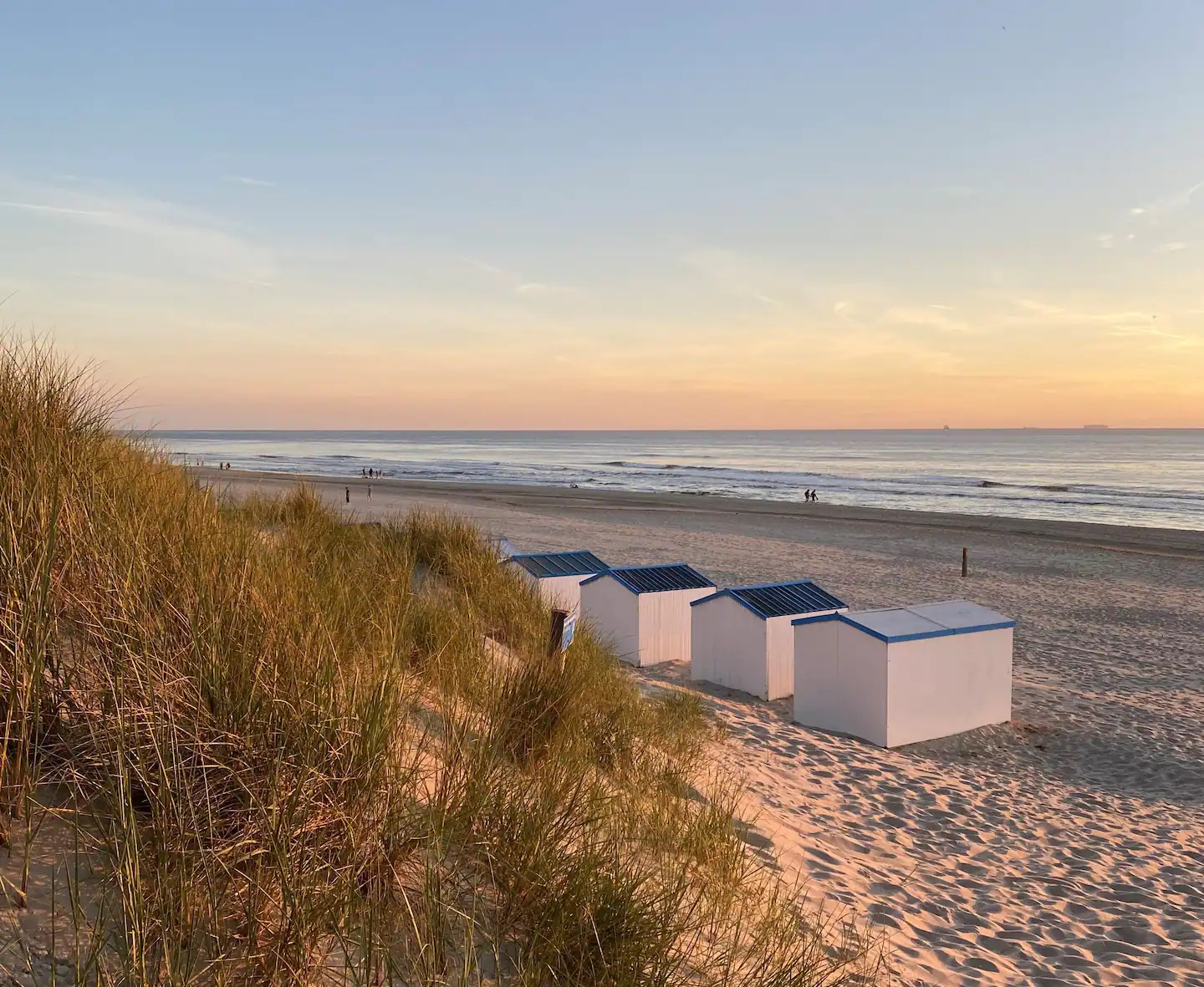 Strandhuisjes Op Texel Vakantie In Strandsfeer Dichtbij Het Strand